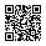 QR:  Tod's Ferrari Loafers