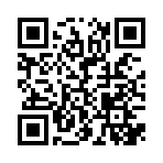 QR:  Tods shoulder bag