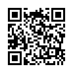 QR:  Saint Laurent Slipper Sandals