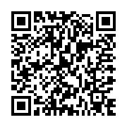 QR:  رژ لب جامد این لی مدل Night Angel شماره 610