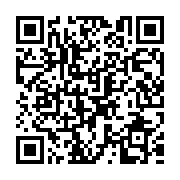 QR:  پالت رژ لب جامد آرت‌اسکین مدل لیپ گلوس شماره 02