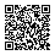 QR:  پالت سایه چشم دودو گرل شماره 02