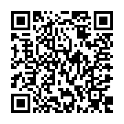 QR:  پالت سایه چشم دودو گرل شماره 02