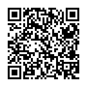 QR:  پالت سایه چشم دودو گرل مدل B3 شماره 02