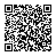QR:  اسپیکر قابل حمل پالما گرین لاین  Green Lion Palma Portable Speaker GNPALMPAPR