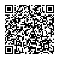 QR:  اسپیکر و میکروفون هاینوتکو مدل Haino Teko MS-41 mini