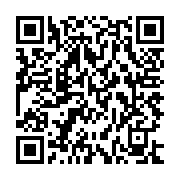 QR:  خوشبو کننده و رطوبت ساز هوا طرح نارنجک گرین لاین مدل Green Lion Grenade Humidifier 500mL
