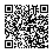 QR:  مخلوط کن قابل حمل گرین لاین مدل Green Lion Mega Pro