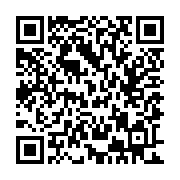 QR:  جامدادی و کیف لوازم ارایشی هولوگرامی طرح گربه