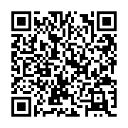 QR:  جوراب برند چتیک طوسی طرح پاندا - کار ترک و اورجینال