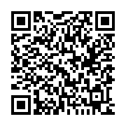 QR:  دکوراتیو بطری کشتی معلق مدل دلفین