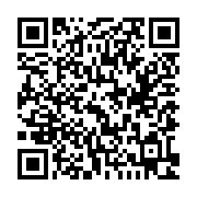 QR:  دکوراتیو بطری کشتی معلق مدل قایق
