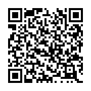 QR:  دکوراتیو بطری کشتی معلق مدل کوسه و ماهیگیر