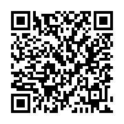 QR:  عروسك لبوبو مارک پاپ مارت اورجینال