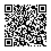 QR:  عروسک سالیوان ۴۰ سانتی - کارخانه هیولاها
