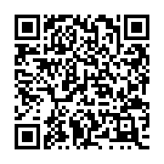 QR:  عروسک BT21 مدل جانگکوک | Cookie