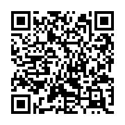 QR:  نقاشی الماسی طرح کیف خرس صورتی