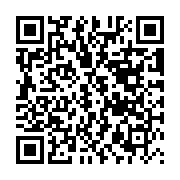 QR:  نقاشی الماسی طرح کیف سگ آبی رنگ