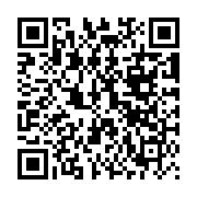 QR:  پلاک گردنبند بال فرشته و فيروزه