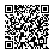 QR:  کوله پشتی عروسک سالیوان کارخانه هیولاها