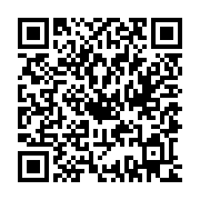 QR:  گردنبند اسرارآمیز با سنگ آبی