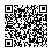 QR:  گردنبند بست فرند بستنی و دونات