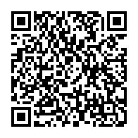 QR:  گردنبند دوستی یا بست فرند جغد صورتی و آبی
