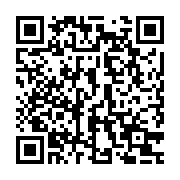 QR:  گردنبند دوستی یونیکورن آبی و صورتی