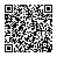 QR:  ست تیشرت شلوارک پسرانه درجه یک چاپ و تیکه دوزی خرس