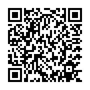 QR:  پوشاک بچه گانه ست دخترانه تیشرت شلوارک طرح گربه تمام چاپ