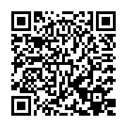 QR:  سرهمی آویزی خرس پشمالو کد 2062