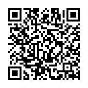 QR:  سرهمی اویزی خرس و توپ کد 2063