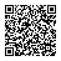 QR:  هودی تک پسرانه مدل DNM در سایز های 50، 55 کد 2204