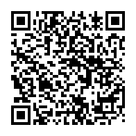 QR:  🧱 Ball Party Bricks مینی لگو مدل جغد بامزه – ساختنی میکرو بلاک فانتزی