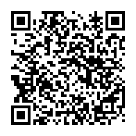 QR:  🧱 Ball Party Bricks مینی لگو مدل خرس پاندا بامزه – ساختنی میکرو بلاک فانتزی