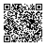 QR:  🧱 Ball Party Bricks مینی لگو مدل راکون بامزه – ساختنی میکرو بلاک فانتزی