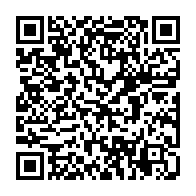 QR:  🧱 Ball Party Bricks مینی لگو مدل سنجاب بامزه – ساختنی میکرو بلاک فانتزی