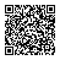 QR:  🧱 Ball Party Bricks مینی لگو مدل میمون بامزه – ساختنی میکرو بلاک فانتزی