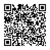 QR:  🧱 Ball Party Bricks مینی لگو مدل پنگوئن بامزه – ساختنی میکرو بلاک فانتزی