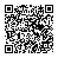 QR:  🧱 Ball Party Bricks مینی لگو مدل گرگی بامزه – ساختنی میکرو بلاک فانتزی
