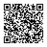 QR:  🧱 Ball Party Bricks مینی لگو مدل گرگ بامزه – ساختنی میکرو بلاک فانتزی